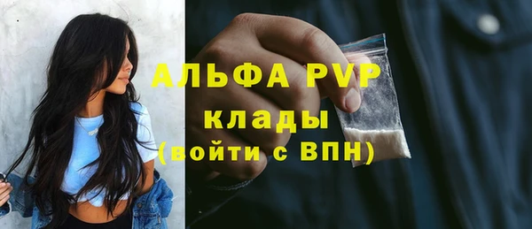соль ск Алексин