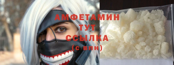 прущие грибы Абаза