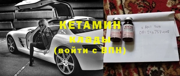 прущие грибы Абаза