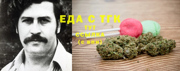 прущие грибы Абаза