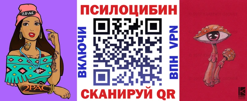 Галлюциногенные грибы прущие грибы  продажа наркотиков  Шенкурск 