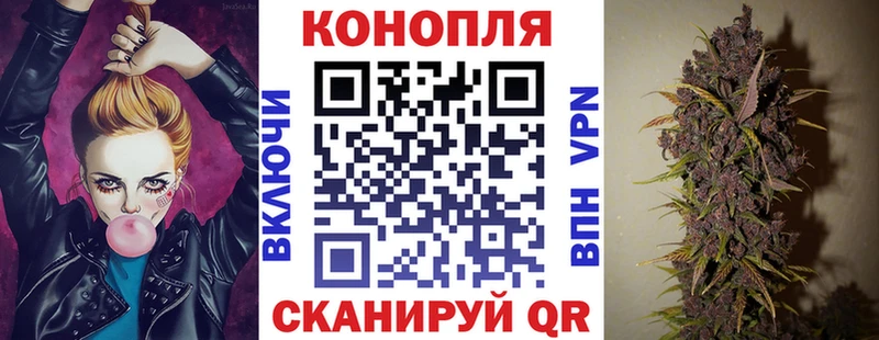 OMG ссылки  Шенкурск  Бошки марихуана Amnesia 